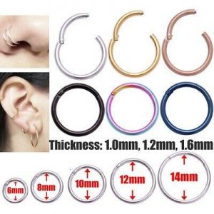 Jewel - תכשיטים ויהלומים פירסינגים חישוק באף Surgical Steel Nose Ring Septum Clicker Hinge Segment Ear Helix Tragus Nose Earing Ring Hoop